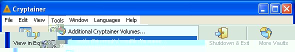 tools_show_primary_vol_name